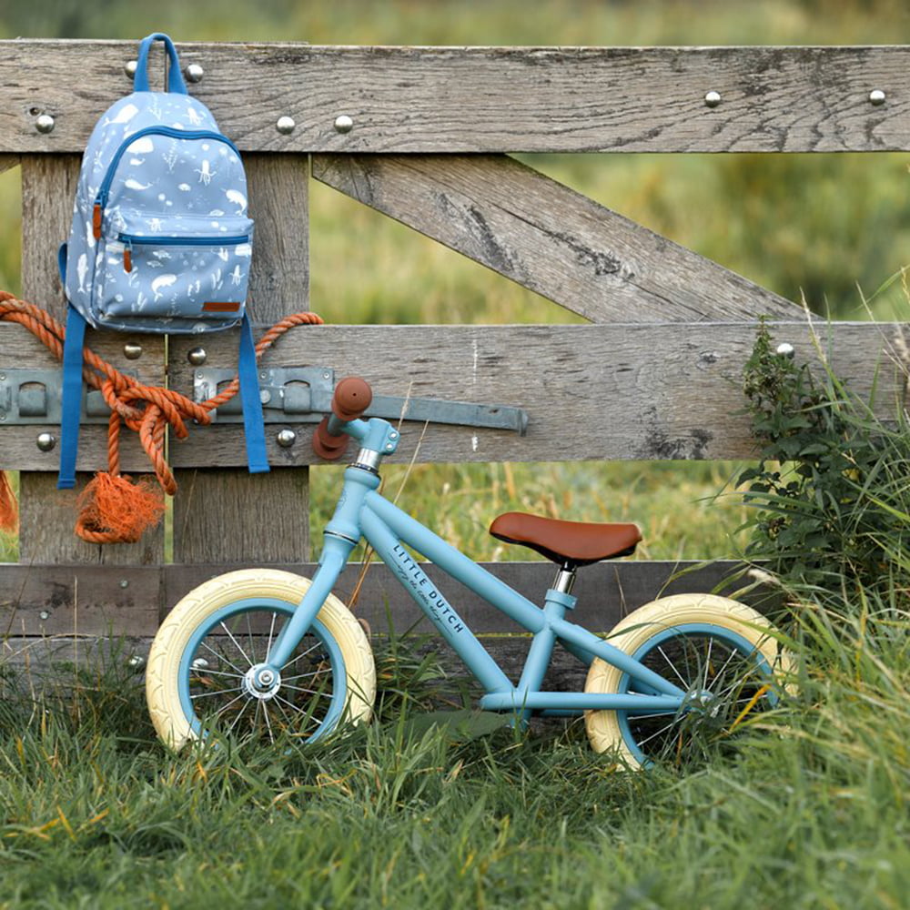 bicicleta de echilibru fara pedale little dutch albastru 2 ani 4